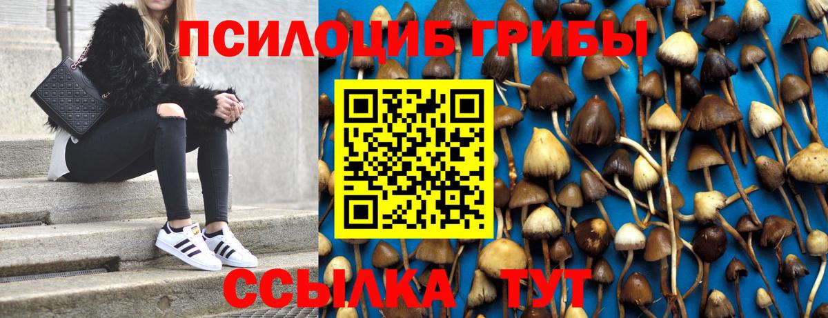 Галлюциногенные грибы MAGIC MUSHROOMS  купить  цена  Шелехов  Вход с VPN 